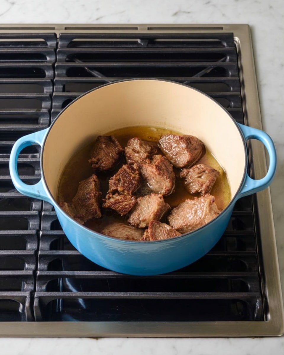 A large light blue pot with two handles is placed on a stove with visible black grates. Inside the pot, there are several pieces of browned meat with a slightly rough texture, sitting in a small amount of liquid. The interior of the pot is cream-colored, showing the contrast with the dark meat. The stove rests on a white marbled surface, adding a clean and bright background to the cooking scene. photo taken with an iphone --ar 4:5 --v 7