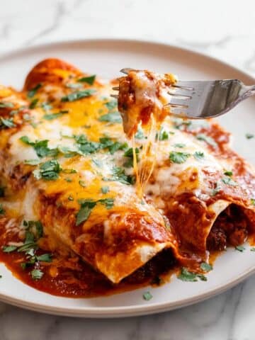 Chicken Enchiladas Recipe