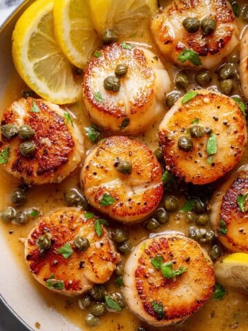 Pan Seared Scallops with Lemon Caper Sauce Recipe