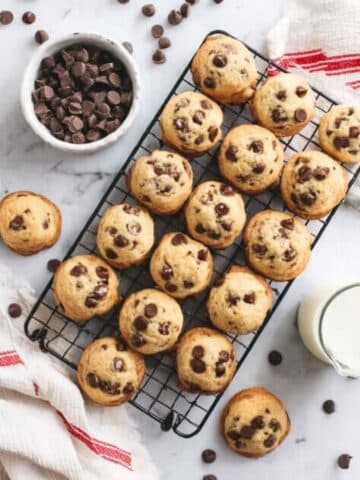 Mini Banana Chocolate Chip Muffins Recipe