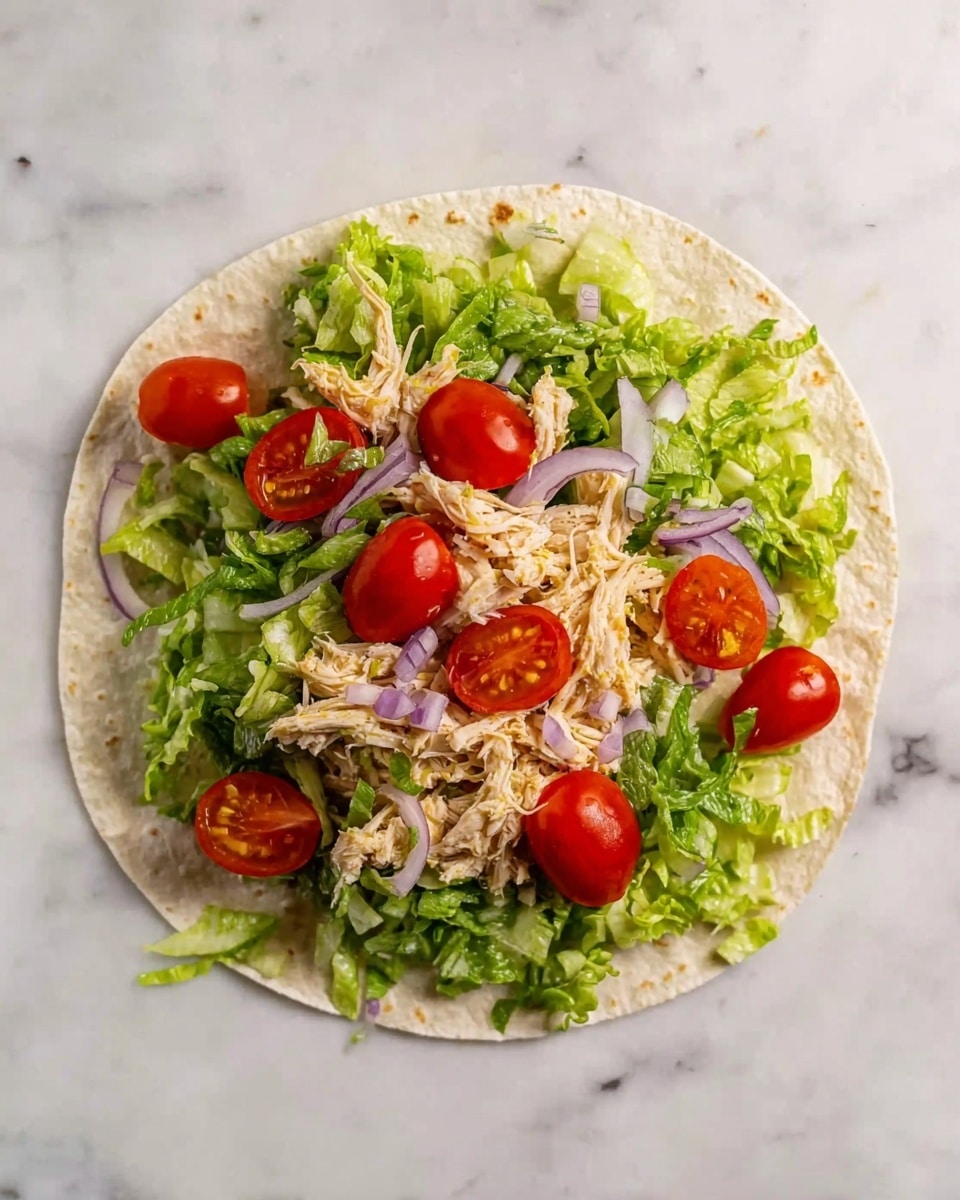 A round white tortilla lays flat on a white marbled surface. In the middle of the tortilla, there is one thick layer of shredded light brown cooked chicken spread horizontally across the center. The chicken has a soft texture with visible small strands piled together, contrasting with the smooth and slightly speckled tortilla underneath. Photo taken with an iphone --ar 4:5 --v 7