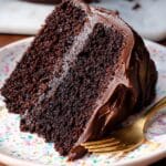 The BEST Moist Chocolate Cake Recipe