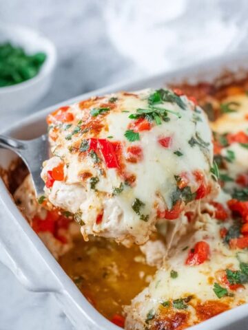 Salsa Fresca Chicken Recipe