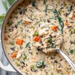 Chicken and Wild Rice Soup Recipe