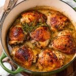 Braised Chicken with Apple Juice and Herbs Recipe