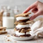 Air Fryer S'mores Recipe