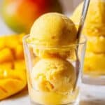 Creamy Mango Sorbet Recipe